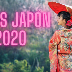 Premios Internacionales Honjo – Becas Japón 2020.